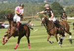 Polo Event, Polo and Horse Racing